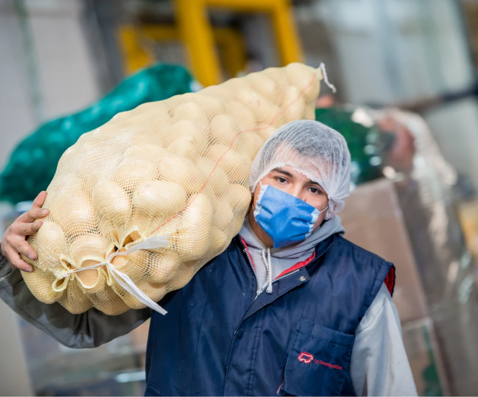 Suministro de materia prima